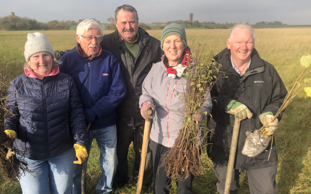 Hill Farm Hedges Project